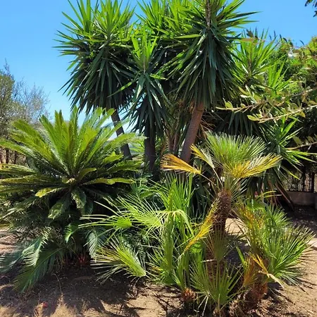 Casa Del Mare Nyaraló Villasimius