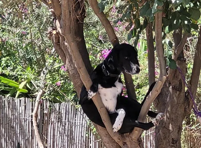 Casa Del Mare * Villasimius